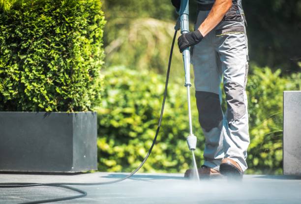 Best Graffiti Removal  in North Tustin, CA